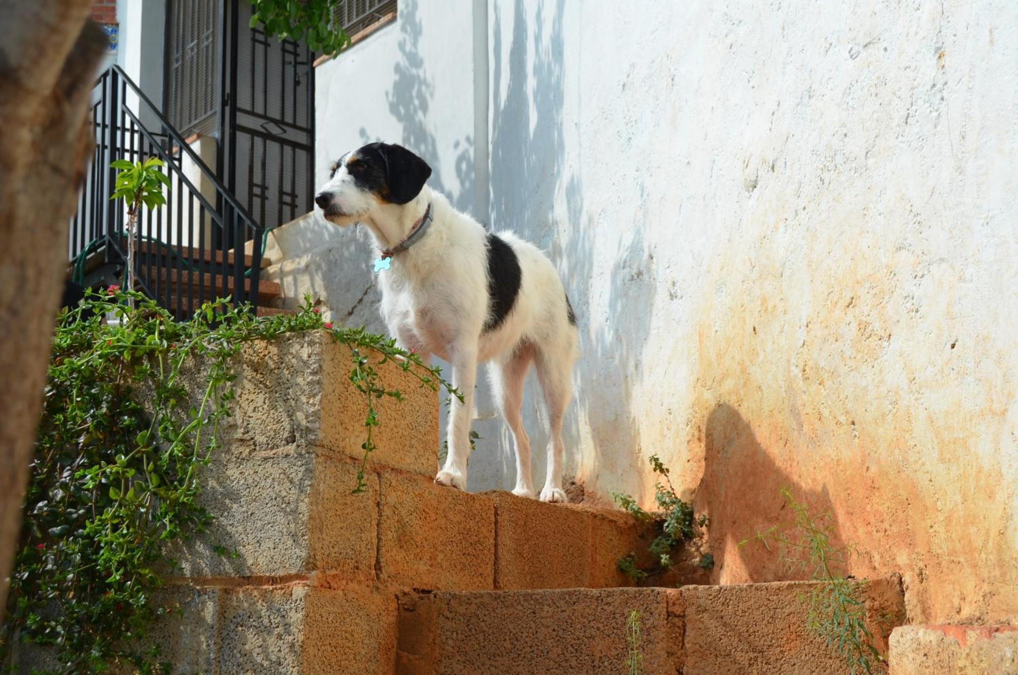 Casa El Castell Villa Eslida Buitenkant foto